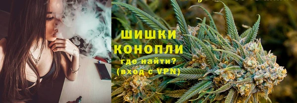 mdpv Гусев