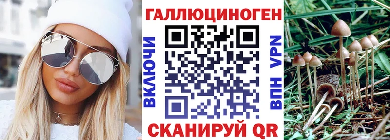 Галлюциногенные грибы Psilocybe  Елабуга 