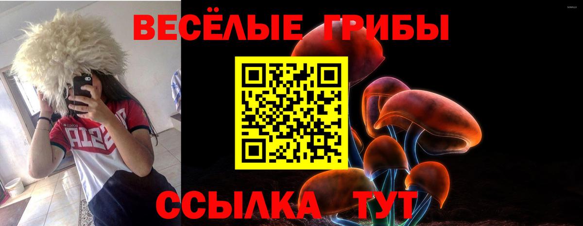 Елабуга  Псилоцибиновые грибы Psilocybe  где купить наркотик  Вход с VPN 