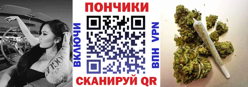 Канабис ГИДРОПОН  где можно купить   omg ссылка  darknet официальный сайт  Елабуга 